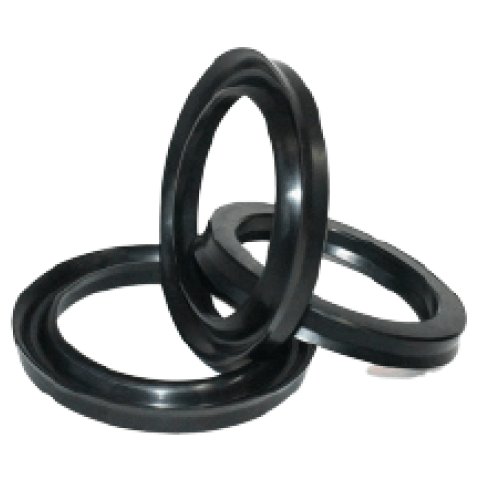 Oil Seals & O Rings